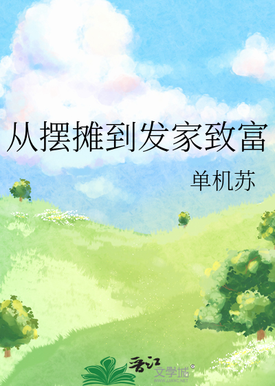 从摆摊到发家致富小说