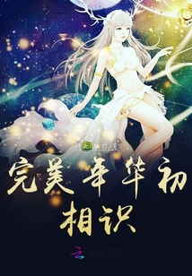 完美年华的我们作文