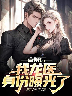 离婚后,我医武双绝的身份