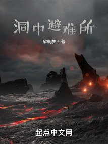 洞中避难所 无错