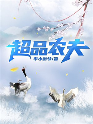 超品农民下载