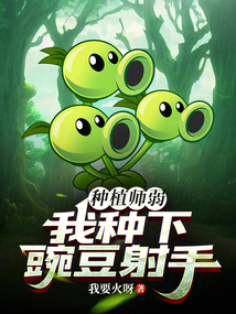 豌豆射手种在花盆上