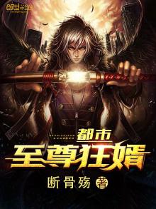 都市至尊狂婿TXT下载