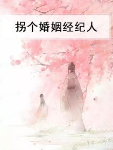 婚姻攻略经纪人