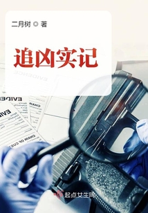 追凶实记 小说