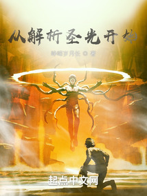 圣光灵皇解析