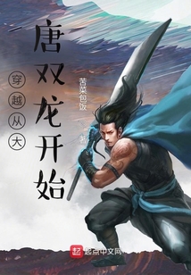 穿越从大唐双龙开始的小说