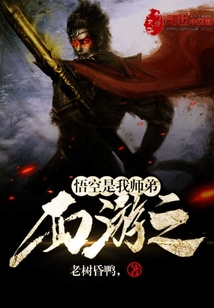 西游之悟空是我师弟 小说