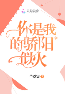 你是我的骄阳似火正版小说