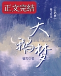 天鹅梦