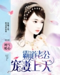 霸道老公宠妻上天