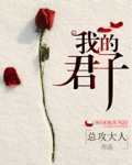 我的君子