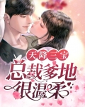 天降三宝：总裁爹地很温柔