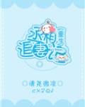丞相追妻记（重生）