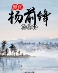 警官杨前锋的故事