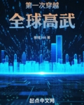 第一次穿越全球高武