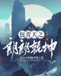 包公探案故事