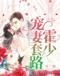 霍少宠妻套路