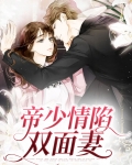 帝少情陷双面妻