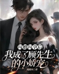 闪婚闪孕的小说