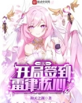 次元:开局签到雷律核心