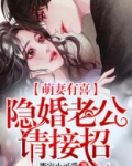 萌妻有喜，隐婚老公请接招