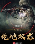 亮剑之绝地双龙