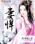 妻悍而夫殴笞之,非以兵刃也,虽伤之,毋罪翻译