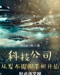 科技公司:从发布鲲鹏手机开始