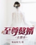 都市至尊赘婿电视剧在线观看