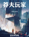 莽夫玩家
