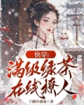 恶女快穿实录恶女值