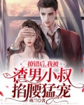 撩错后，我被渣男小叔掐腰猛宠