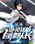 死神:瀞灵廷的自律队长