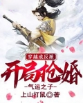 穿越成反派，开局抢婚气运之子