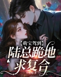 萌宝驾到总裁爹地超给力
