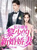 亿万盛宠：黎少的新婚娇妻